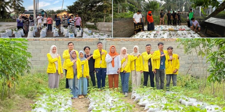 Mahasiswa Pertanian UNA Giatkan Gerakan Asahan Menanam