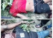 Dua Pencuri Di Toba Tewas Diamuk Massa