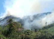 Polisi Dan Tim Gabungan Padamkan Karhutla Di Sosa Julu