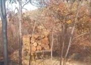 Karhutla Marak, Pemegang Izin Di Padanglawas Diminta Tanggung Jawab