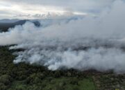 Karhutla Meluas, Pemkab Aceh Selatan Tetapkan Status Darurat