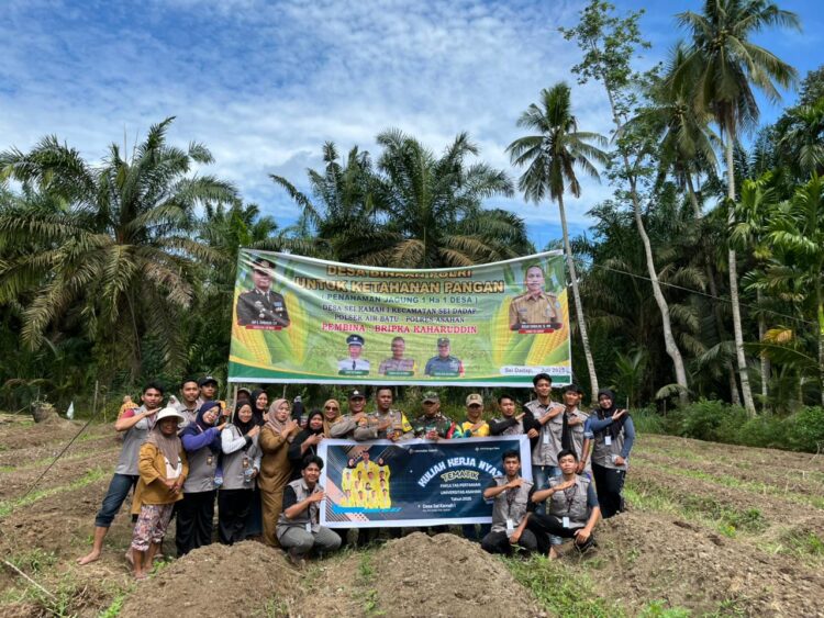 Mahasiswa Pertanian UNA Tanam Jagung Di Asahan