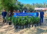 Koperasi Mandiri Bersama Jaya Tamiang Salurkan Ribuan Bibit Sawit Program PSR