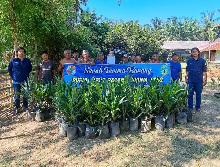 Koperasi Mandiri Bersama Jaya Tamiang Salurkan Ribuan Bibit Sawit Program PSR