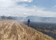 Aceh Besar Siaga Kebakaran Akibat Cuaca Panas Ekstrem