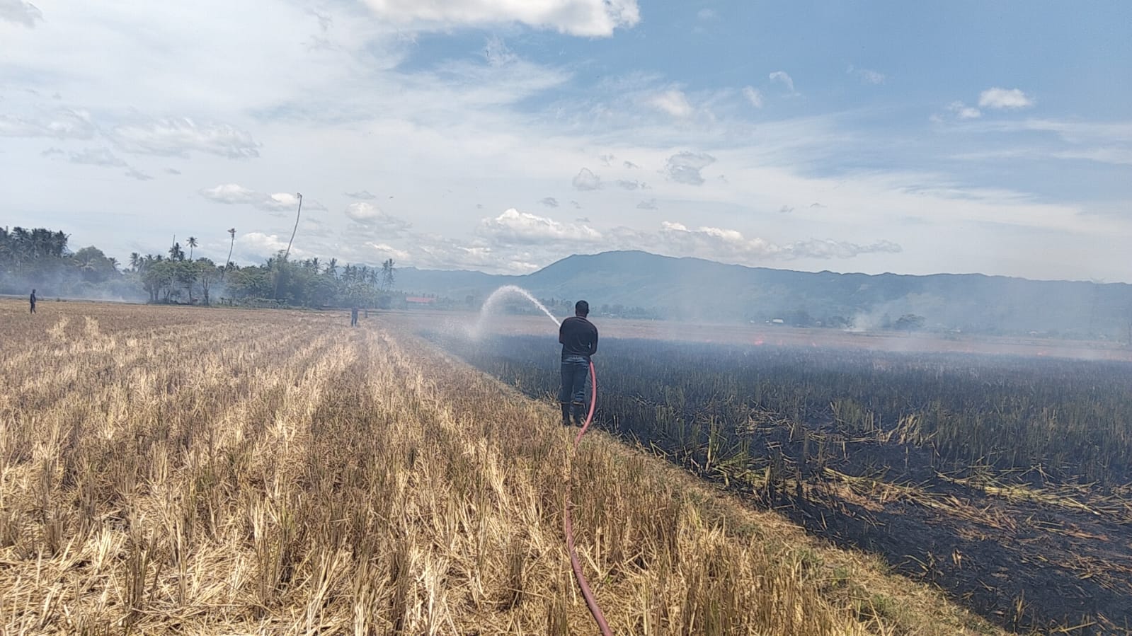 Aceh Besar Siaga Kebakaran Akibat Cuaca Panas Ekstrem