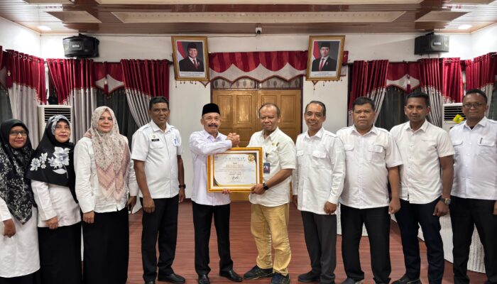 Bupati Pidie Terima Penghargaan BKN