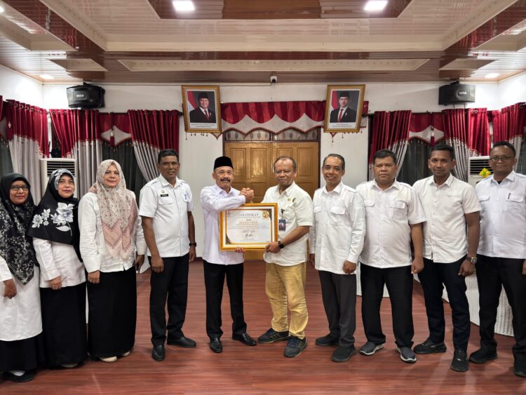 Bupati Pidie Terima Penghargaan BKN