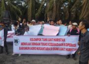 Aksi Unjuk Rasa di Kantor PT APN, Petani Huristak Tuntut Pembayaran Plasma