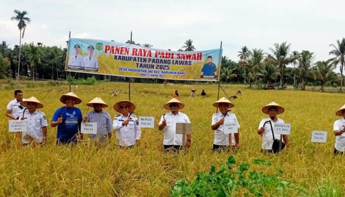 Putra Mahkota Alam Panen Raya Padi Bersama Masyarakat Barumun Baru