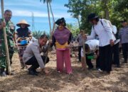 Kapolres Padangsidimpuan Dan Unsur Forkopimda Tanam Perdana Jagung Di Huta Koje