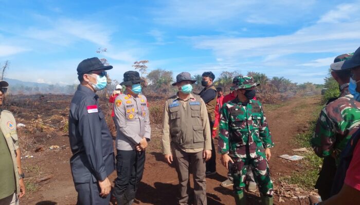 Bupati Aceh Selatan Gelar Rakor Karhutla Dan Tinjau Lokasi Kebakaran