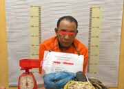 Pengedar Ganja Diringkus, Ratusan Paket Siap Edar Disita