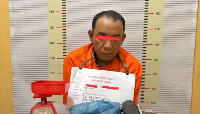 Pengedar Ganja Diringkus, Ratusan Paket Siap Edar Disita