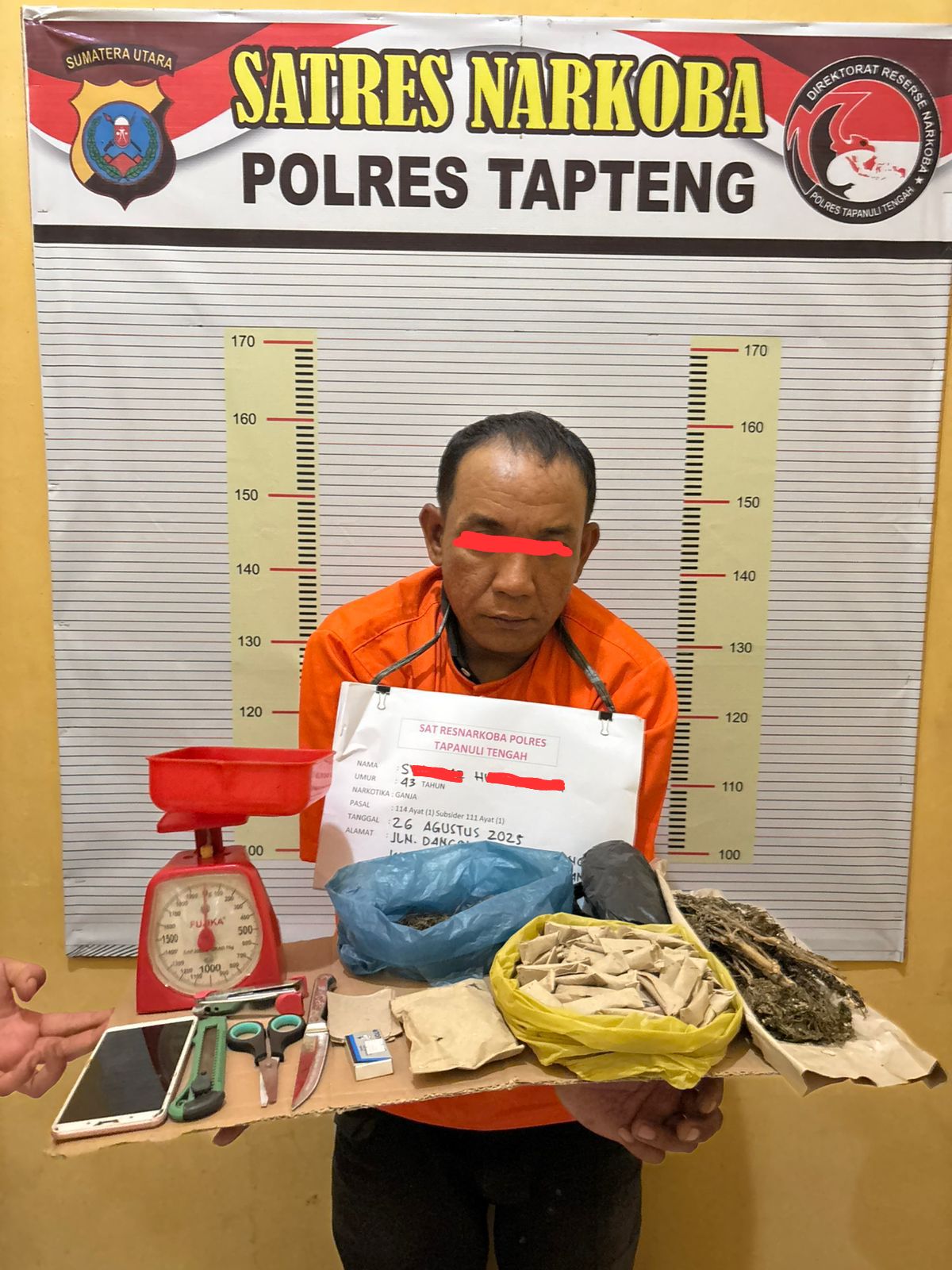 Pengedar Ganja Diringkus, Ratusan Paket Siap Edar Disita