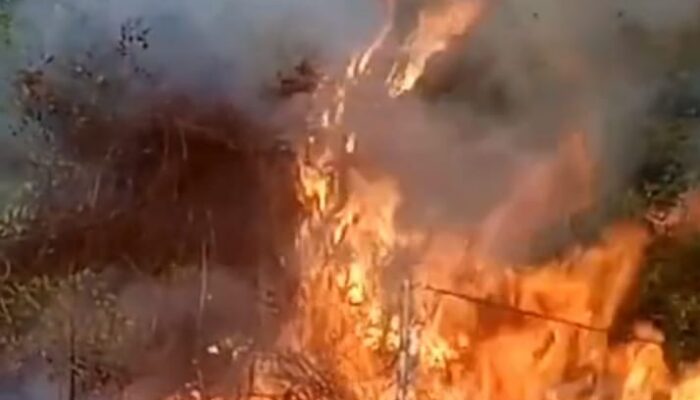 Kawasan Hutan Nabundong Terbakar