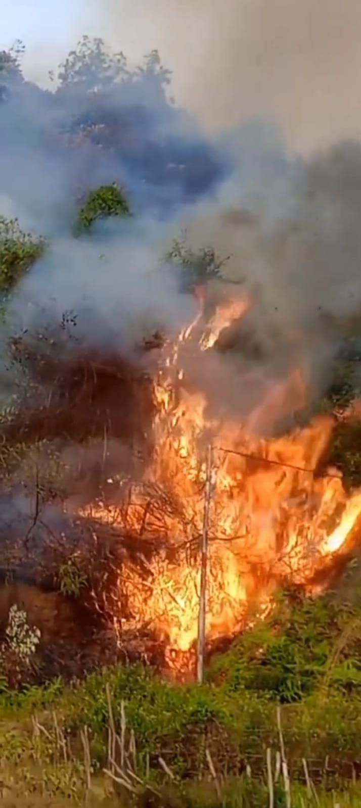 Kawasan Hutan Nabundong Terbakar