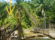 Lintasi Alur Sungai PDAM Subulussalam, Disesalkan