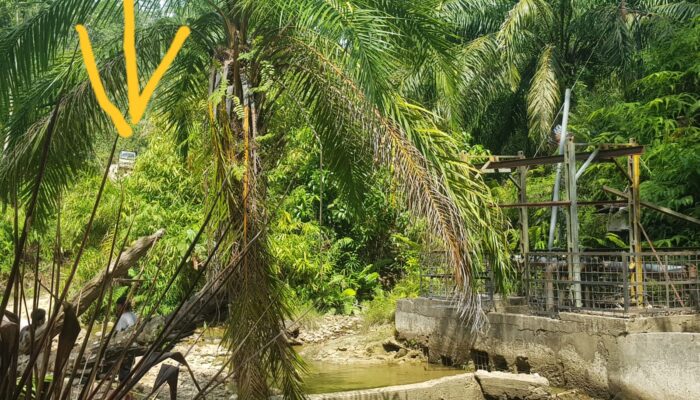 Lintasi Alur Sungai PDAM Subulussalam, Disesalkan