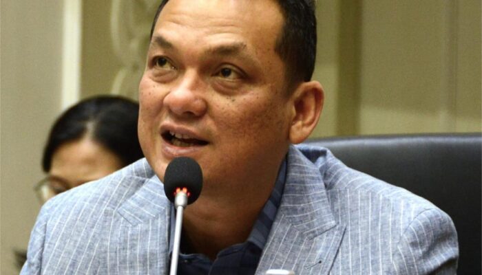 Baleg DPR Dorong Profesionalisme Perusahaan Penyalur PRT