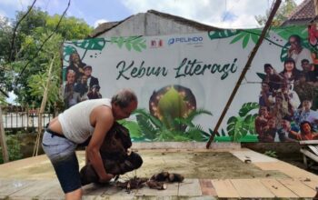 Mewujudkan ketahanan pangan dari pekarangan rumah