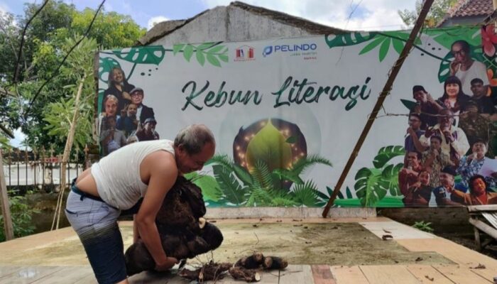 Mewujudkan ketahanan pangan dari pekarangan rumah