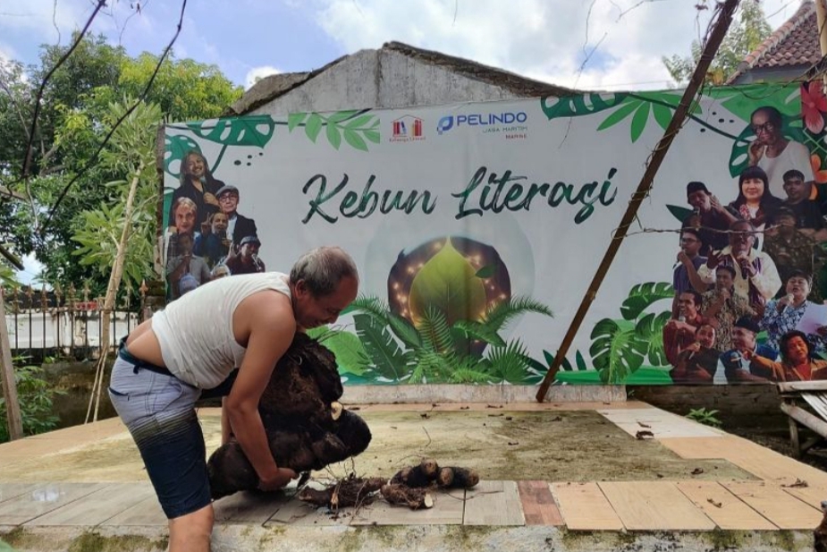 Mewujudkan ketahanan pangan dari pekarangan rumah