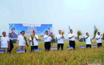 Kabupaten Bekasi jadi percontohan program Jaksa Mandiri Pangan