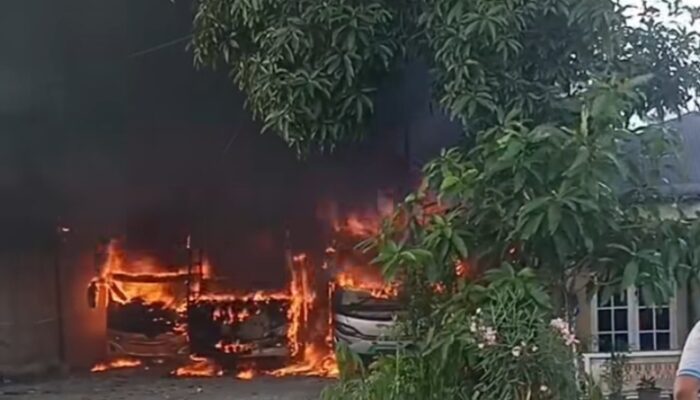 Tiga Bus Dan Dua Rumah Ludes Terbakar Di Klumpang Kebun