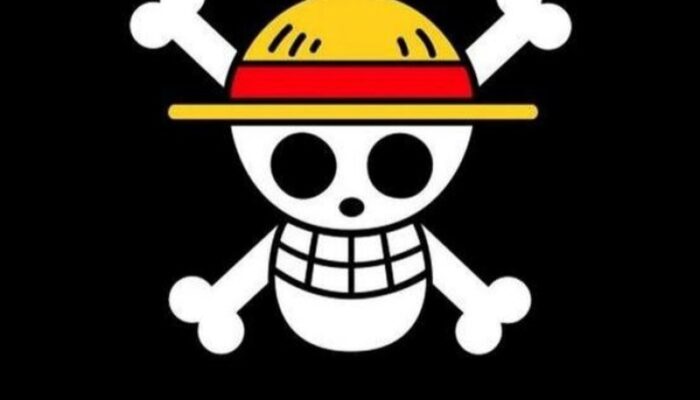 Pengibaran Bendera One Piece Bentuk Simbolik Kritik Rakyat Bukan Makar