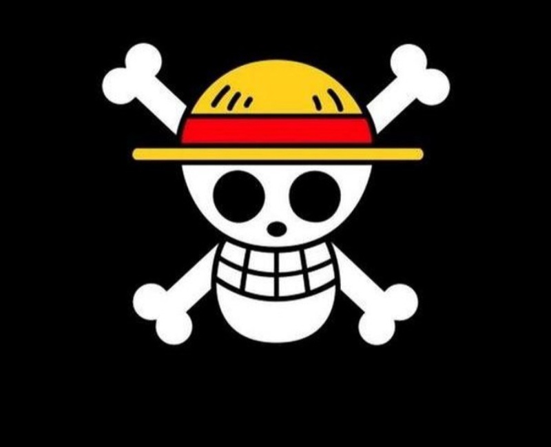 Pengibaran Bendera One Piece Bentuk Simbolik Kritik Rakyat Bukan Makar