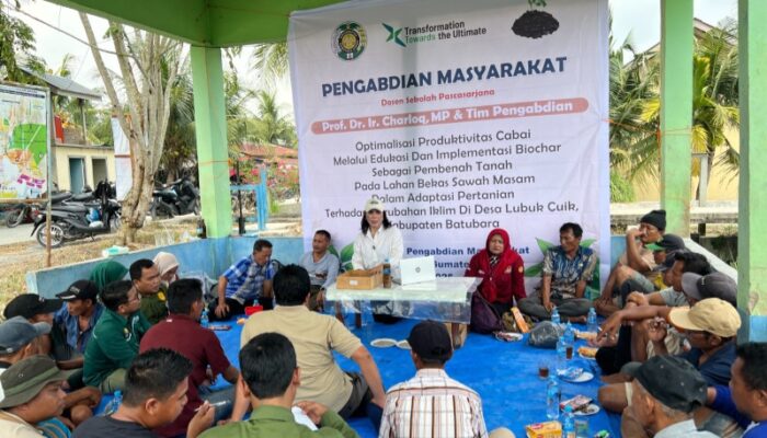 USU Dan Petani Desa Lubuk Cuik Terapkan Biochar Tingkatkan Produktivitas Cabai