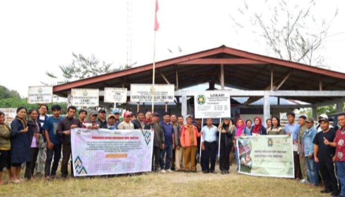 Fakultas Pertanian USU Dan IDN Of America Gelar Pelatihan Peningkatan Produktivitas Kopi Di Samosir