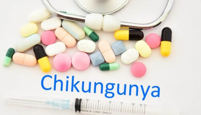  Tidak Ada Kasus Chikungunya Di Sumut