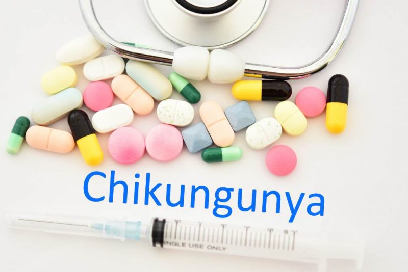 Dinkes: Tidak Ada Kasus Chikungunya Di Sumut