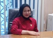 Erni Sampaikan Maaf Soal Sikap Rendahkan Profesi Wartawan