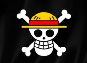 Kisruh One Piece Presiden Nyatakan Tak Masalah, Ini Kata Penggiat Sosial