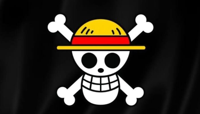 Kisruh One Piece Presiden Nyatakan Tak Masalah, Ini Kata Penggiat Sosial