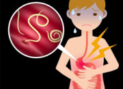 Tragedi Anak Meninggal Akibat Cacingan, Dinkes Sumut Ingatkan Jangan Dianggap Sepele