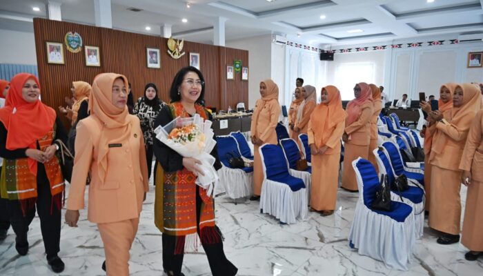 Kunjungan Kerja Ke Madina, Ketua DWP Sumut Serahkan Bantuan Makanan Dan Minuman Sehat Untuk Balita Dan Ibu Hamil
