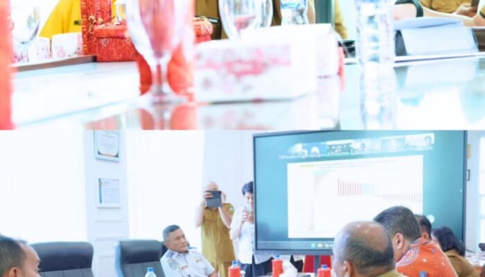 Wali Kota Tebingtinggi Ikuti Rakor Inflasi, Mendagri: Angka Nasional Ideal, Daerah Diminta Waspada