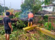 Hujan Deras Dan Angin Kencang Landa Siantar, Puluhan Pohon Tumbang Dan Rumah Rusak