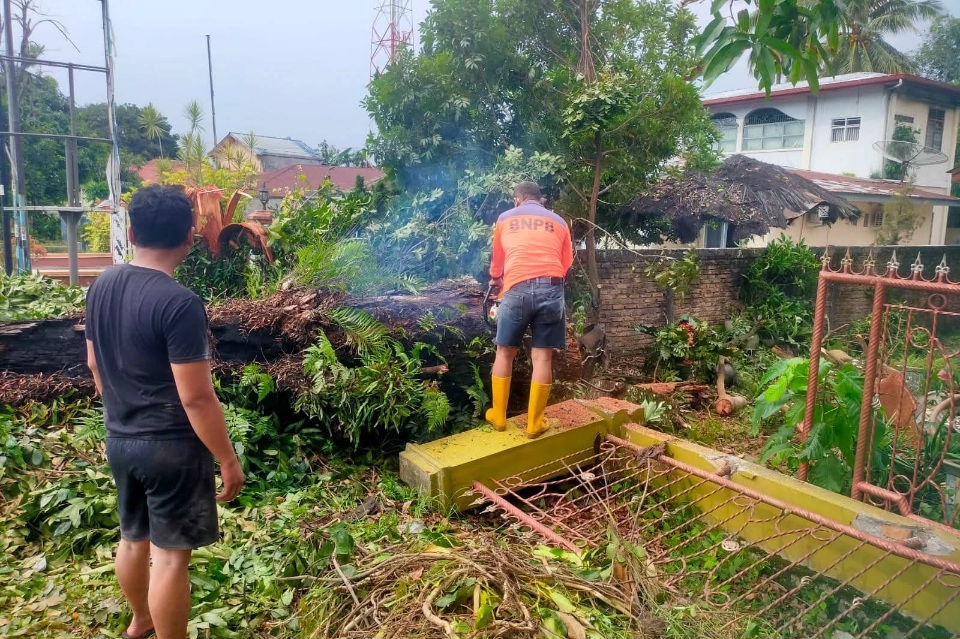 Hujan Deras Dan Angin Kencang Landa Siantar, Puluhan Pohon Tumbang Dan Rumah Rusak
