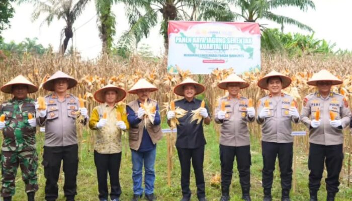 Wali Kota Dan Kapolres Tebingtinggi Sukseskan Panen Raya Jagung Serentak 2025