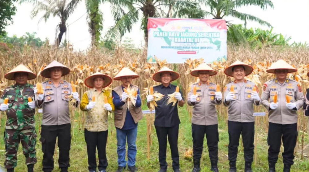 Wali Kota Dan Kapolres Tebingtinggi Sukseskan Panen Raya Jagung Serentak 2025