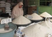 Harga Beras Berbagai Kualitas Secara Nasional Alami Kenaikan