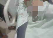 Lagi, Monyet Liar Serang Remaja 11 Tahun