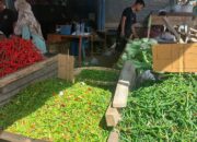 Harga cabai di wilayah Sumatera Utara (Sumut) terpantau bertahan mahal, dimana harga cabai merah di kisaran Rp50 ribuan per kilogram, cabai rawit dan cabai hijau di harga Rp40 ribuan.