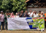 Tim Pengabdian Masyarakat USU Kembangkan Eduwisata Hidroponik Organik Di Langkat