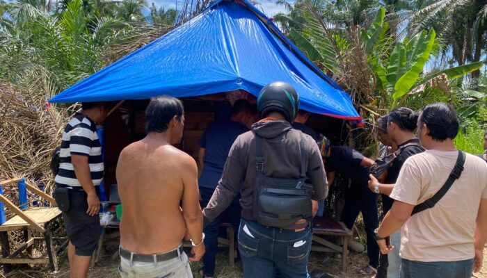 Polres Binjai Kembali Musnahkan Barak Narkoba di Sei Bingai, Dua Pria Ditangkap